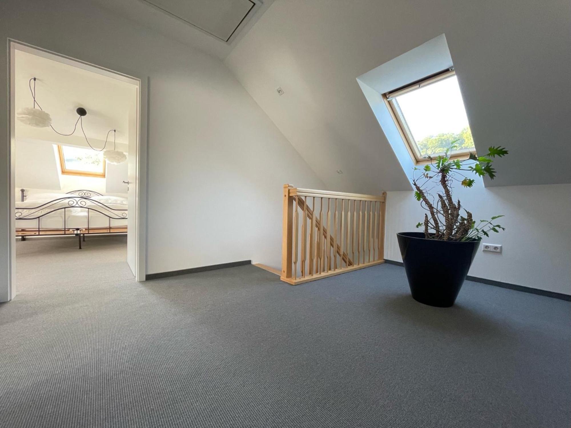 Stilvolle Wohnung Fuer 2-3 Personen - Mit Riesiger Dachterrasse Haigerloch Екстер'єр фото